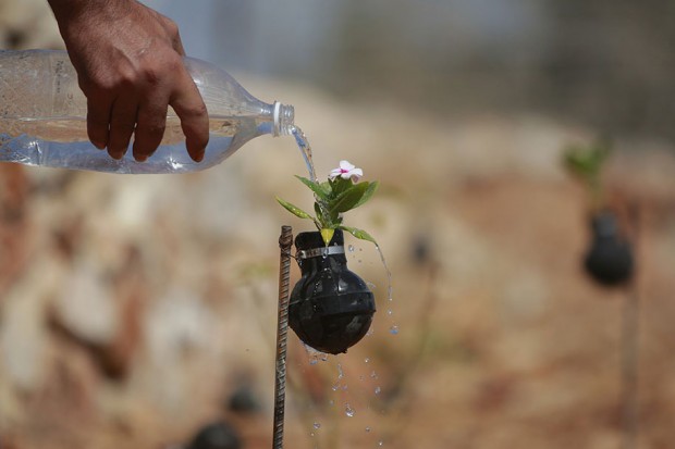 palestina-zena-vrt-bombe-4