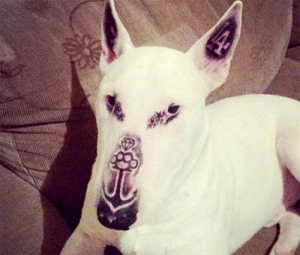 dog-tattoos